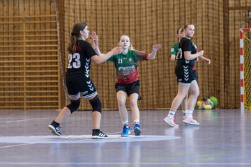 Bild 131 - wDJ HSG Kremperheide/Muensterdorf - TSV SR Schuelp : Ergebnis: 26:5